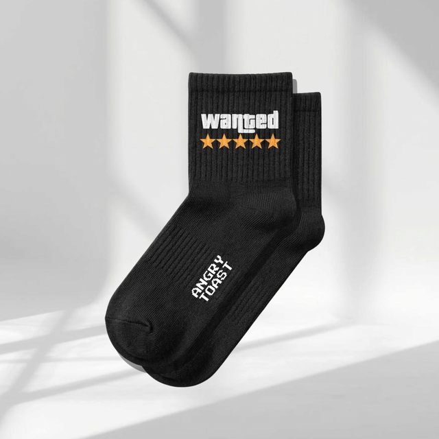 Wanted 5 STARS Sock