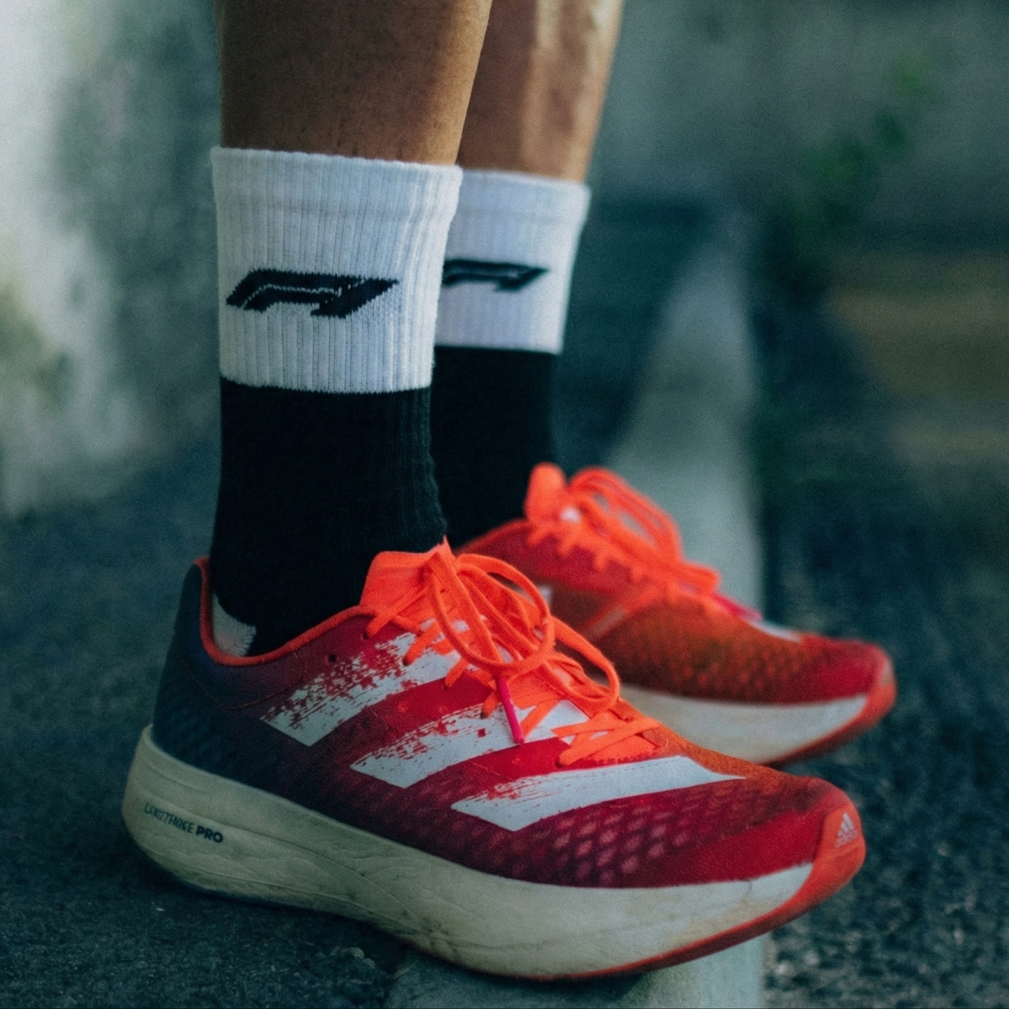 # THE FORMULA ONE EDITION - (PACK OF 2)